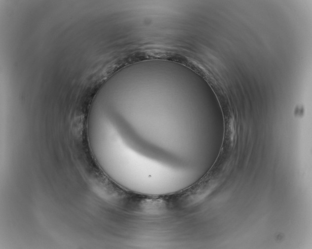 X0000091580271200709101025