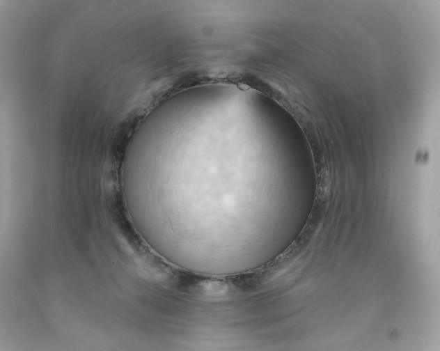 X0000091580272200709101025