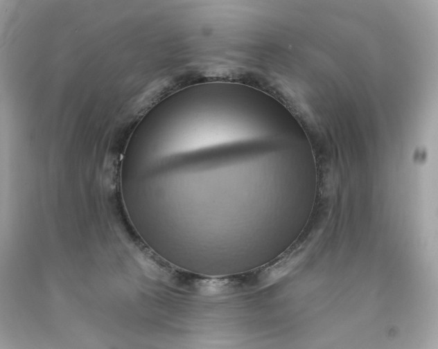 X0000091580273200709101025