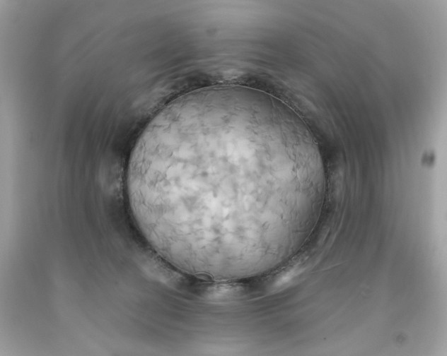 X0000091580274200709101025