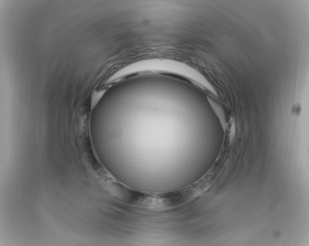 X0000091580276200709101025