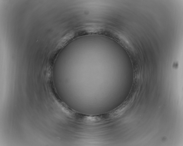 X0000091580277200709101025