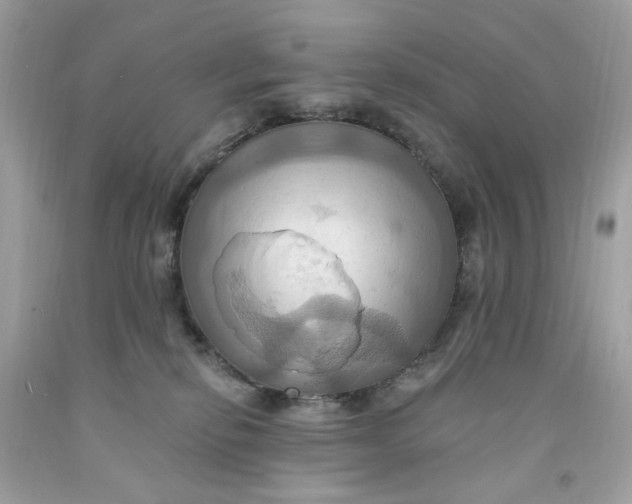 X0000091580278200709101025