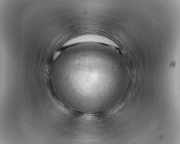 X0000091580280200709101025