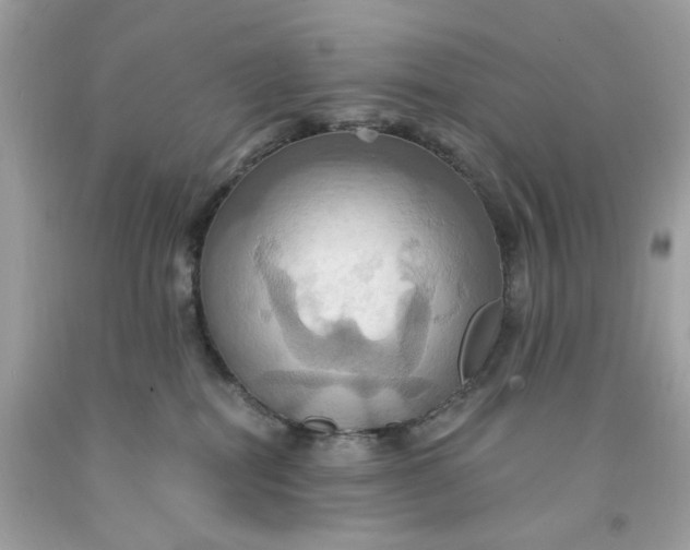 X0000091580282200709101025