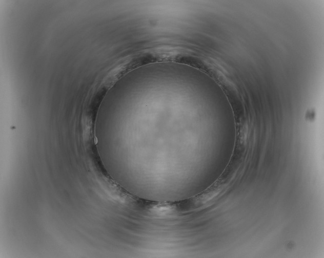 X0000091580283200709101025