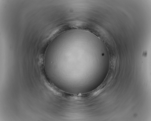 X0000091580284200709101025