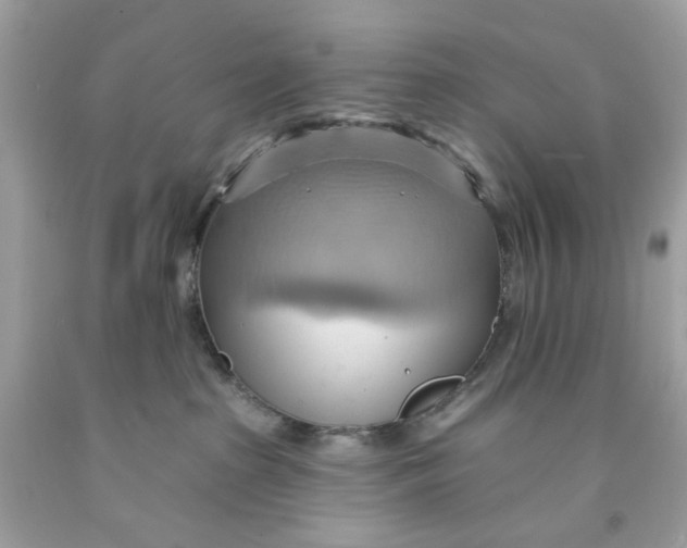 X0000091580285200709101025