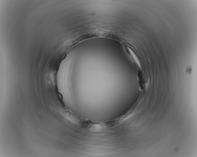 X0000091580286200709101025