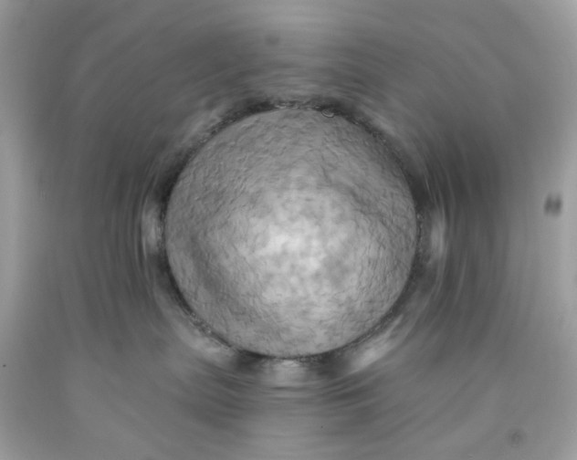 X0000091580287200709101025