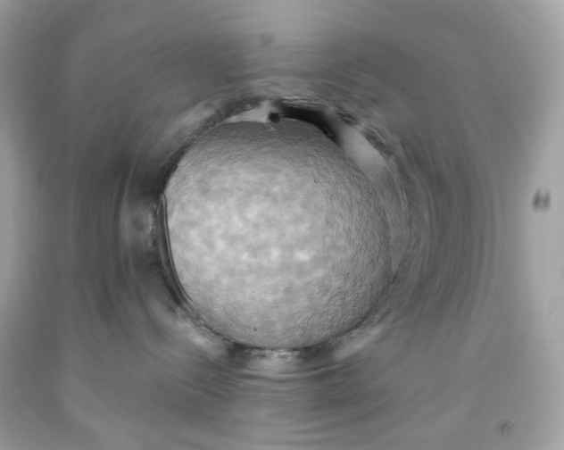 X0000091580288200709101025