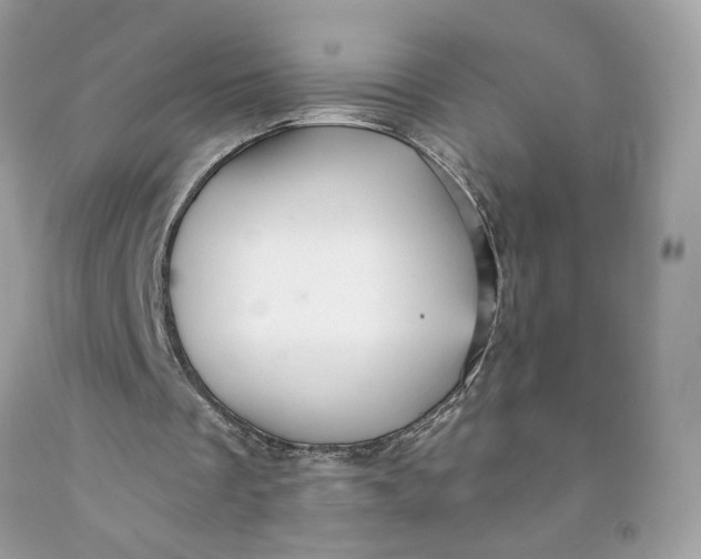 X0000091580289200709101025