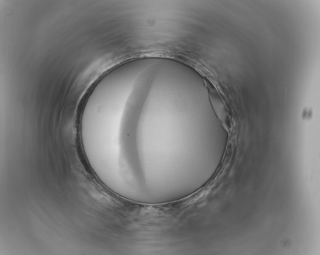 X0000091580290200709101025