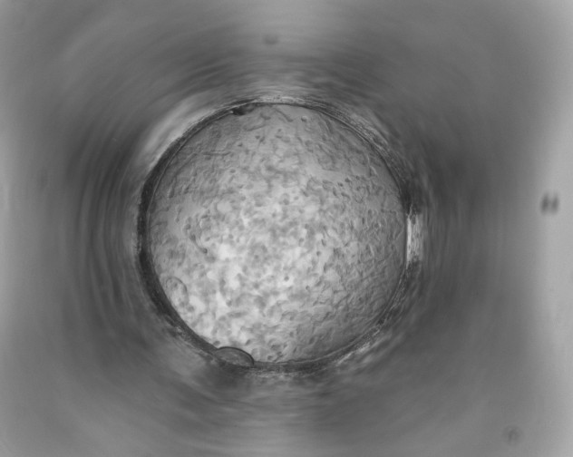 X0000091580291200709101025