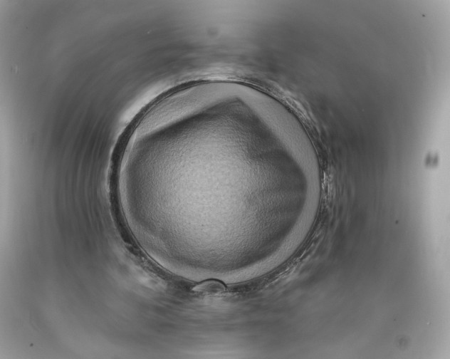 X0000091580292200709101025