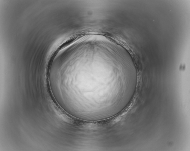 X0000091580293200709101025