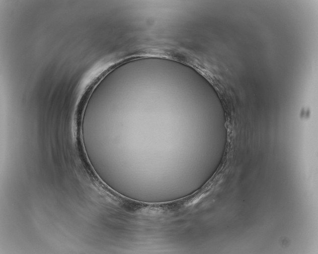 X0000091580294200709101025