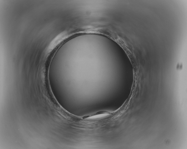 X0000091580295200709101025