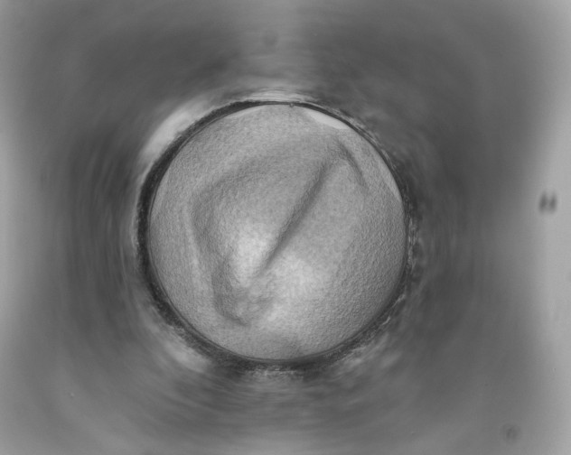 X0000091580296200709101025