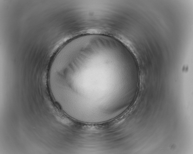 X0000091580297200709101025