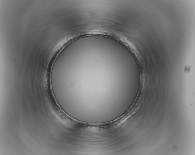 X0000091580298200709101025