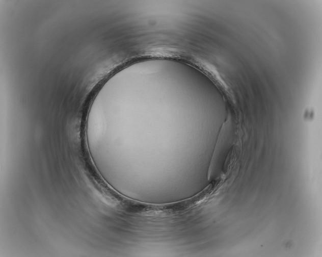 X0000091580299200709101025