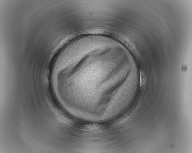 X0000091580300200709101025