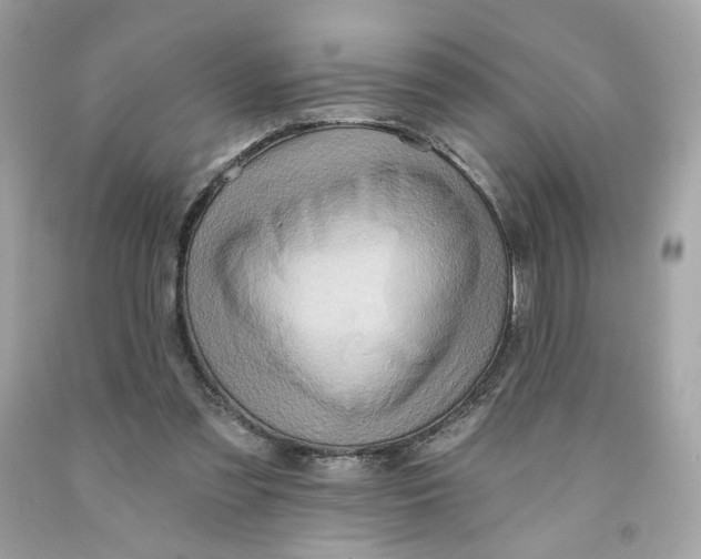 X0000091580301200709101025