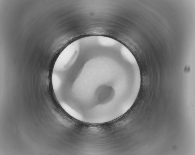 X0000091580302200709101025