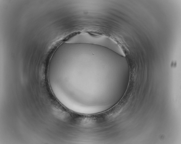 X0000091580303200709101025