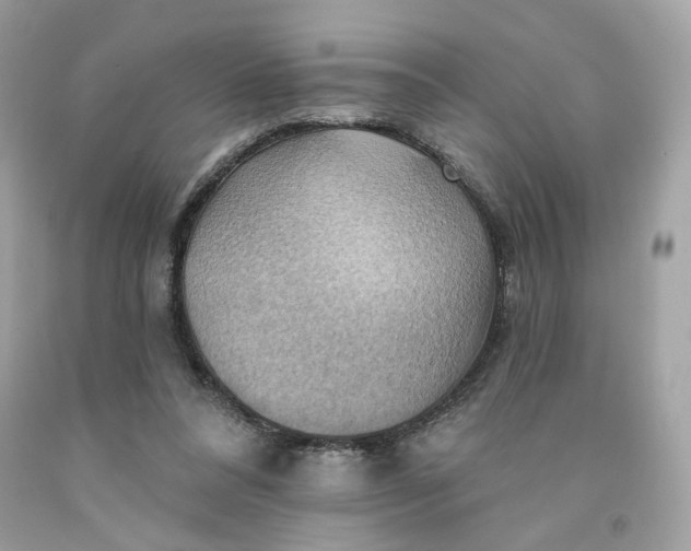 X0000091580304200709101025