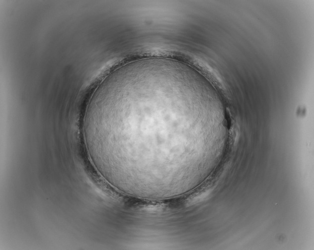 X0000091580306200709101025