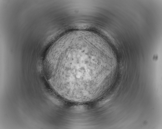 X0000091580307200709101025