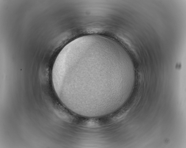 X0000091580308200709101024