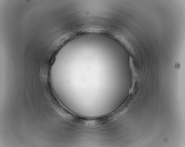 X0000091580309200709101024