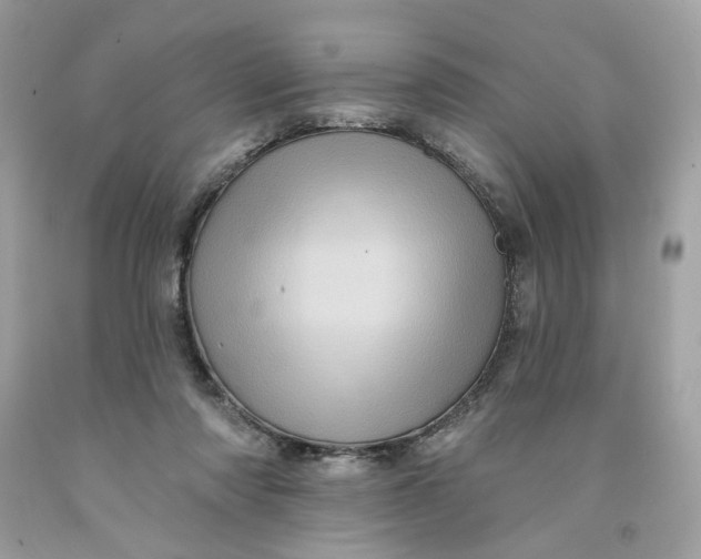 X0000091580310200709101024