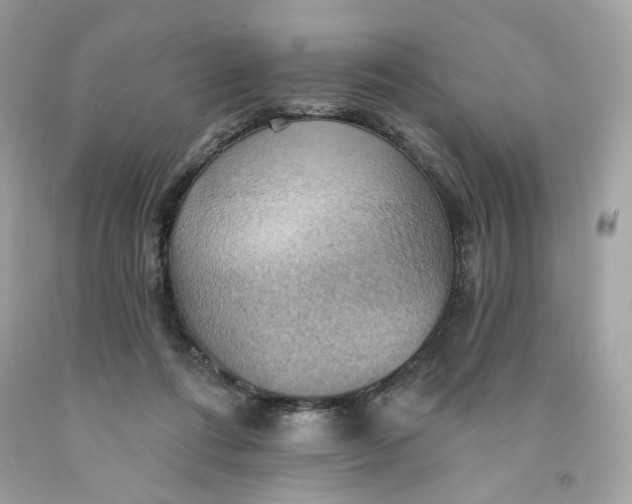 X0000091580312200709101024