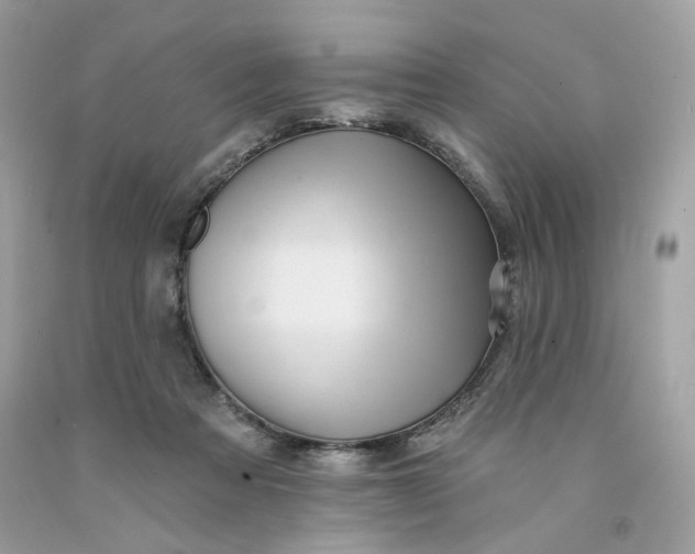 X0000091580313200709101024