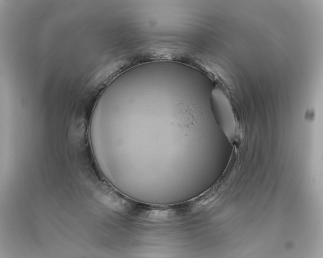 X0000091580314200709101024