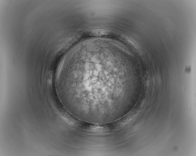 X0000091580315200709101024