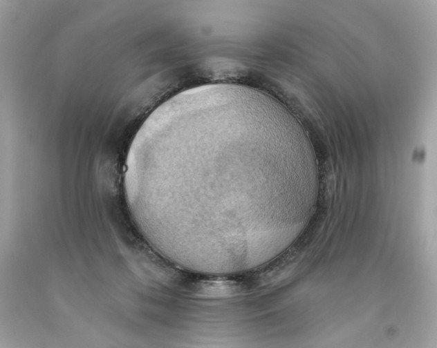 X0000091580316200709101024