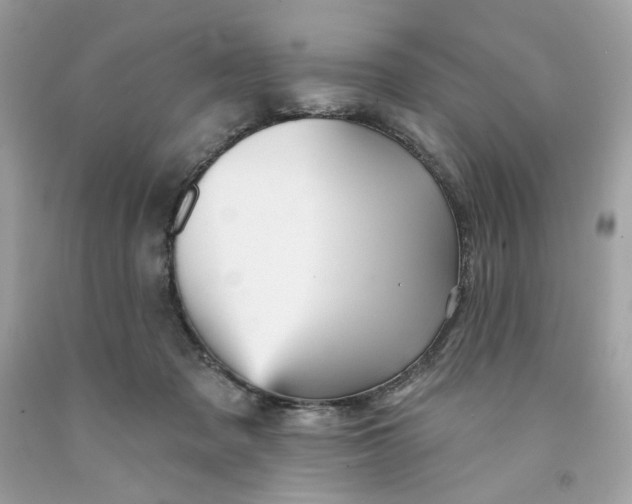 X0000091580317200709101024