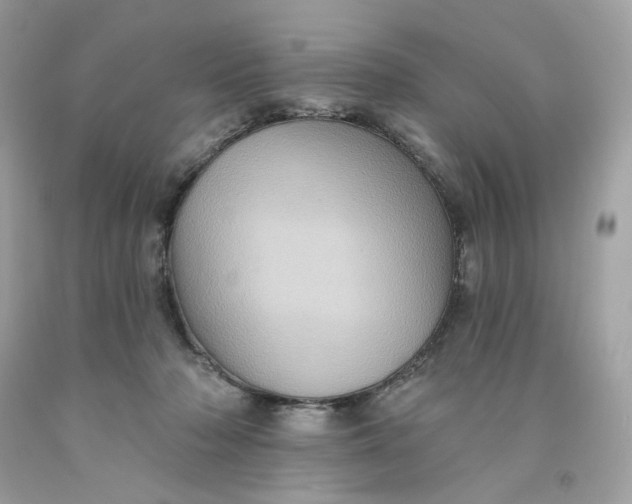 X0000091580318200709101024