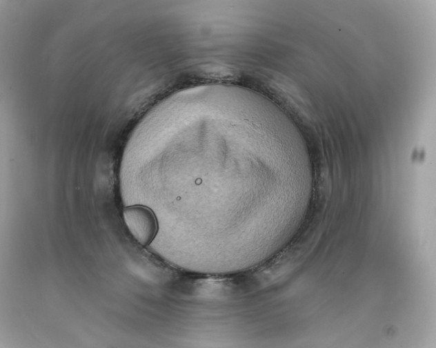 X0000091580320200709101024