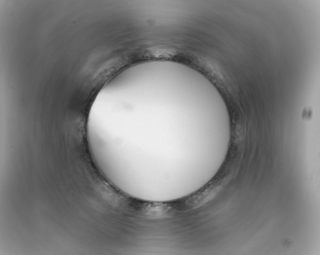 X0000091580321200709101024