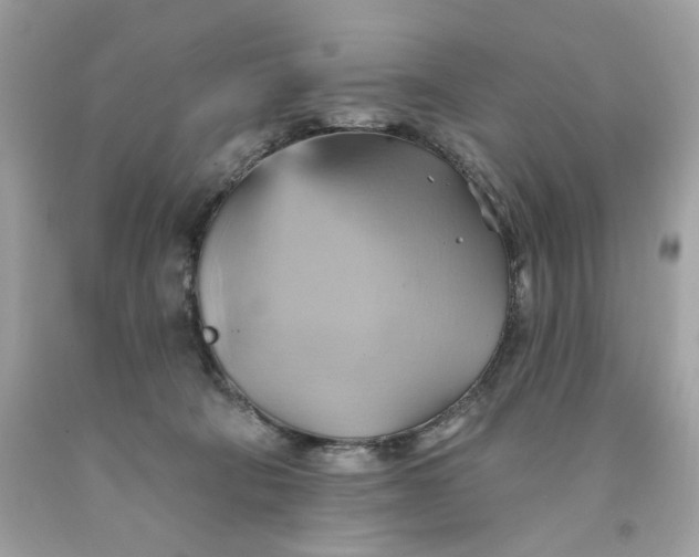 X0000091580322200709101024