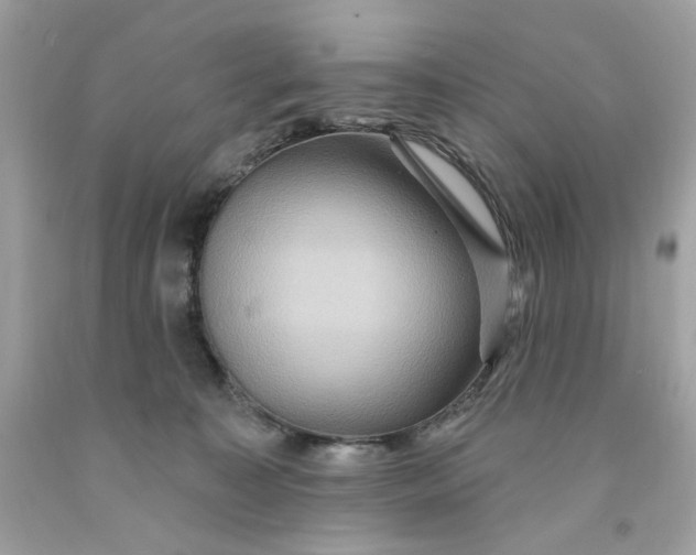 X0000091580323200709101024