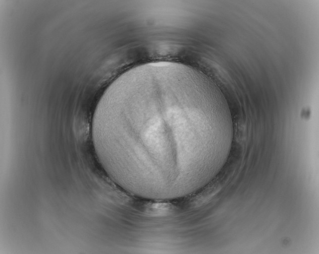 X0000091580324200709101024