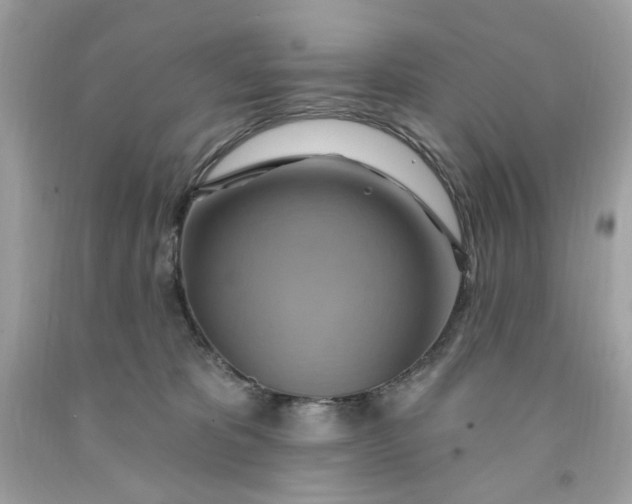 X0000091580325200709101024