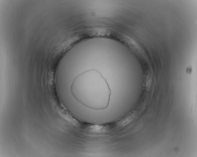 X0000091580326200709101024